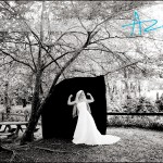 bloggy02 bloggy02