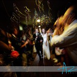 bloggy19 bloggy19