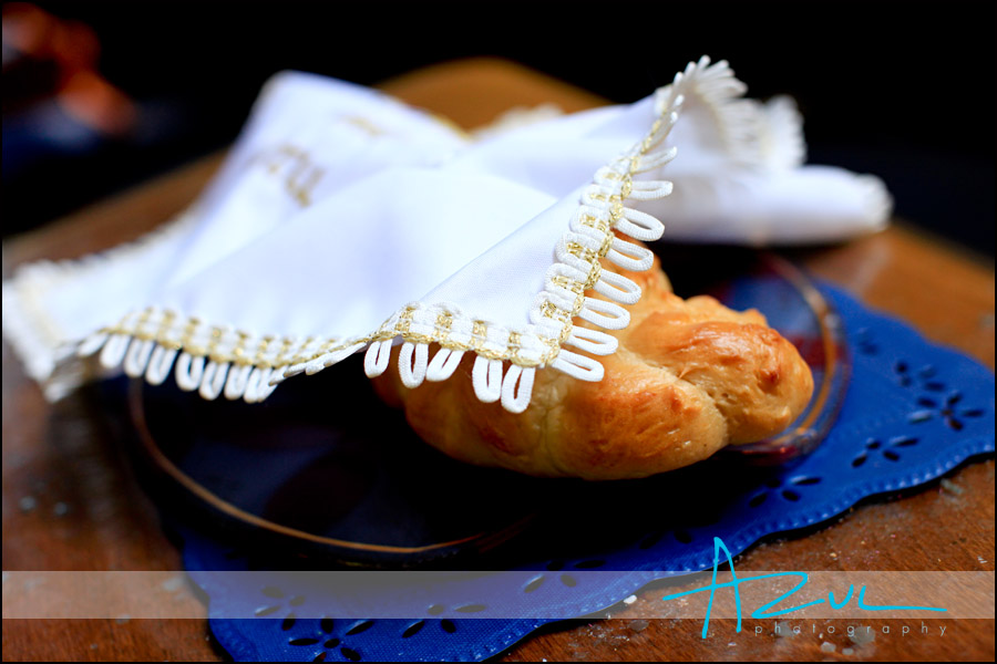 Raleigh Bat Mitzvah Photographer