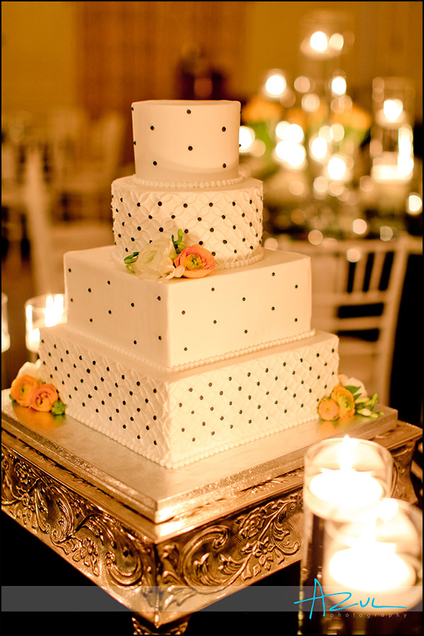 Cindas creative cakes Raleigh cake decorator
