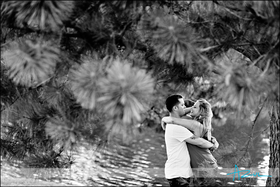Pine tree hug RDU modern wedding engagement portrait session