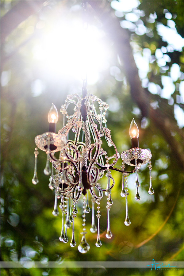 The chandelier Best Raleigh wedding rentals for home weddings