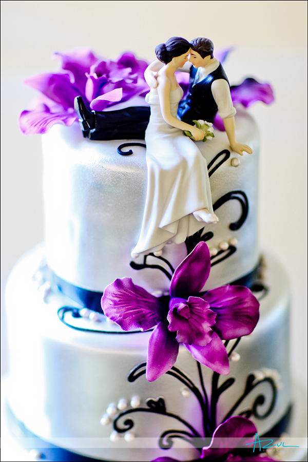Raleigh Wedding Photographer