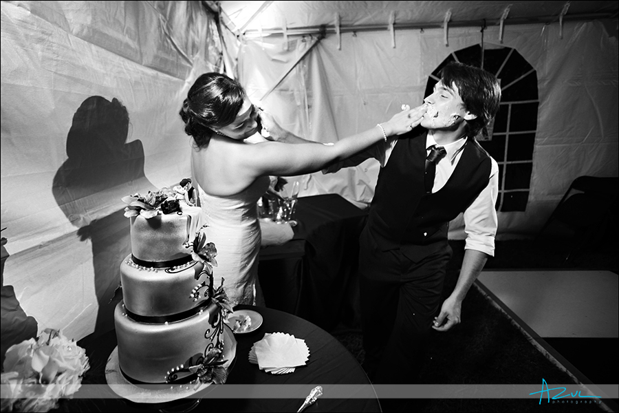 Raleigh Wedding Photographer