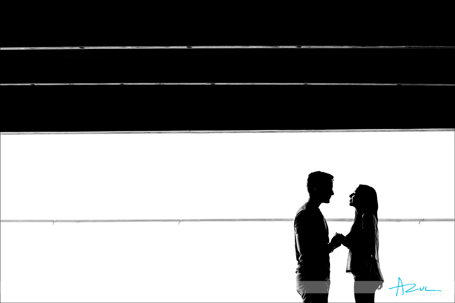 Astrid & Levon Outdoor engagement portrait session Raleigh NC